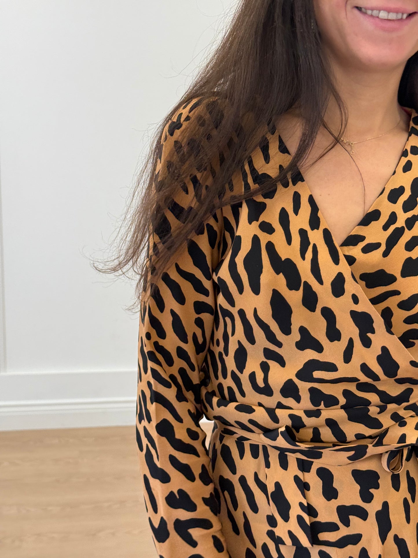 Diane Von Furstenberg Wrap Around Dress - Leopard (Size 2)
