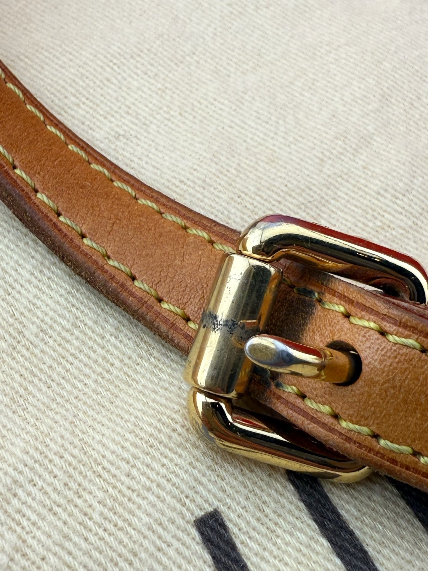 Louis Vuitton Bellflower GM Shoulder Bag
