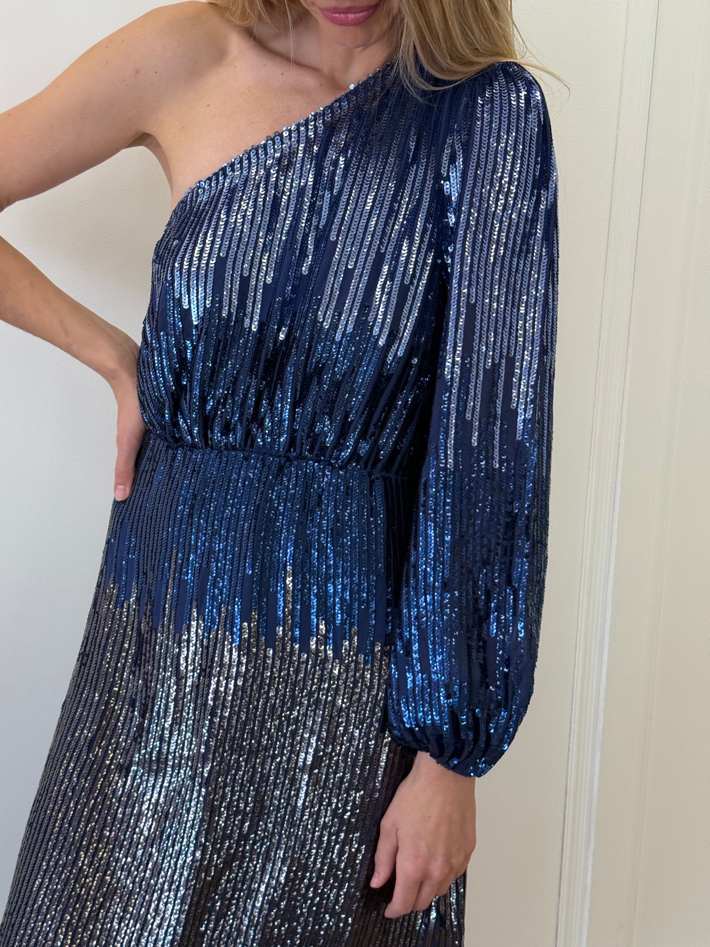 Rixo Bradshaw Sequin Dress - Blue (Size S)