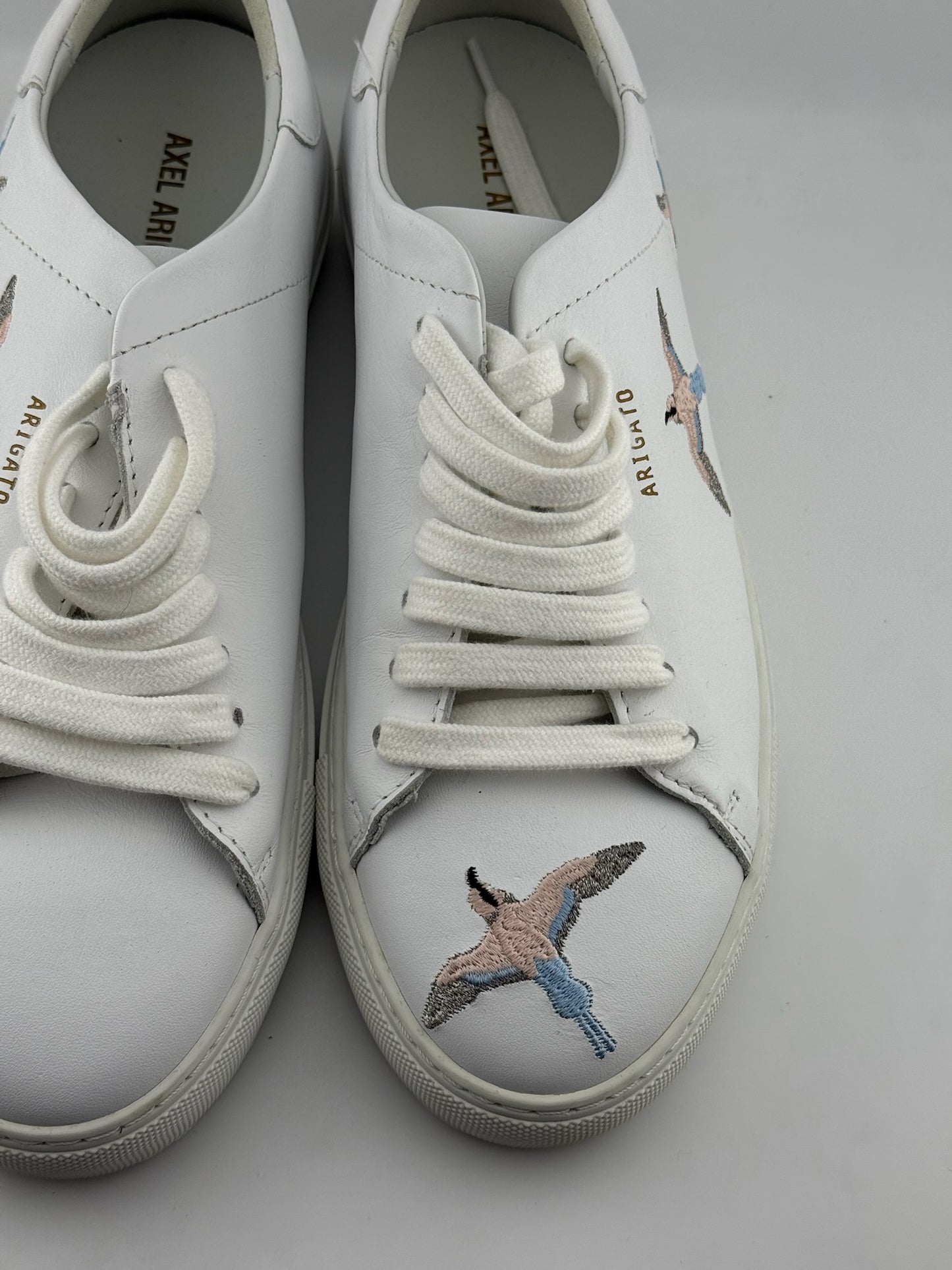 Arigato sparrow White trainers