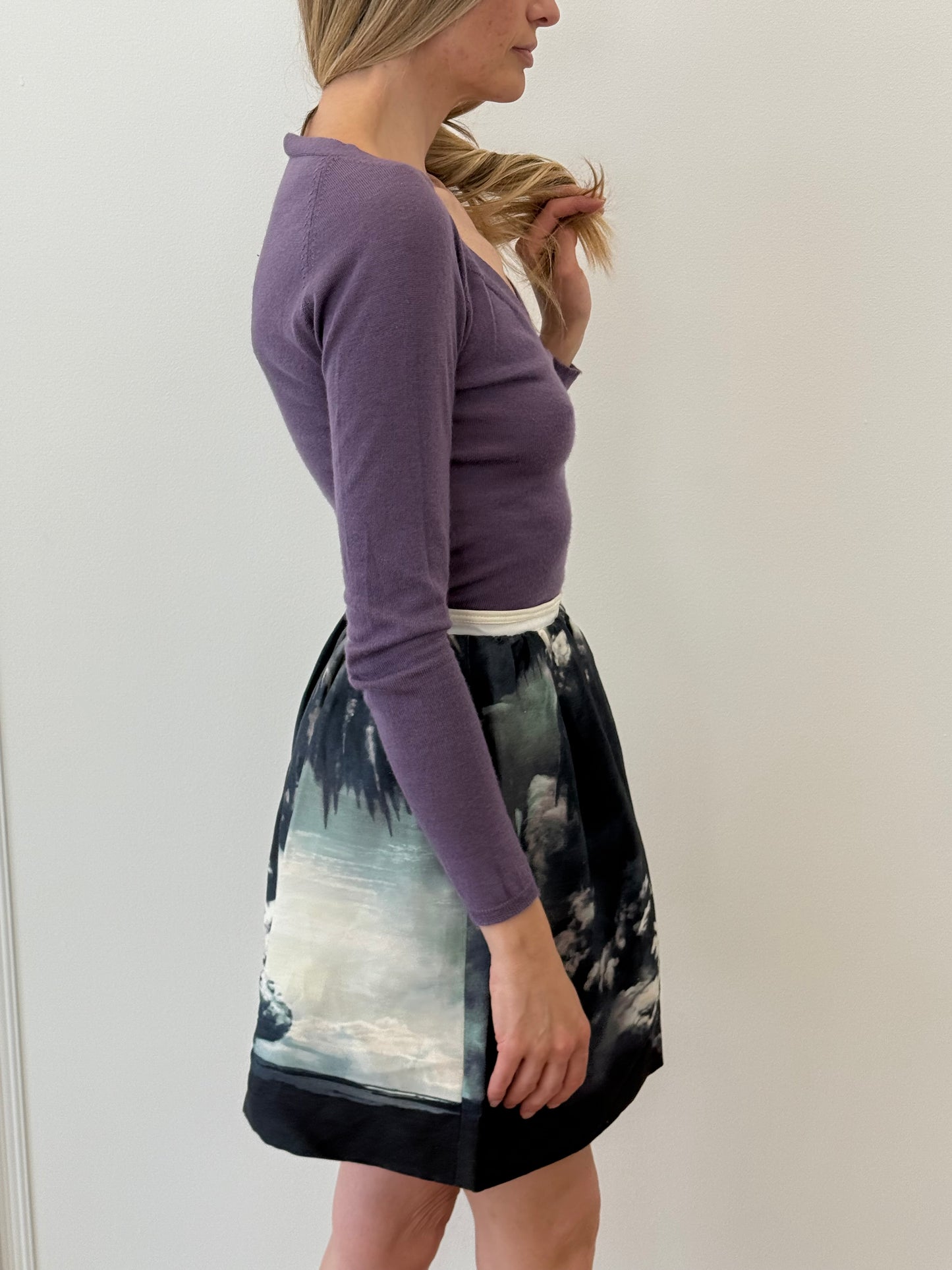 Carven Skirt - Blue/White (Size 36)