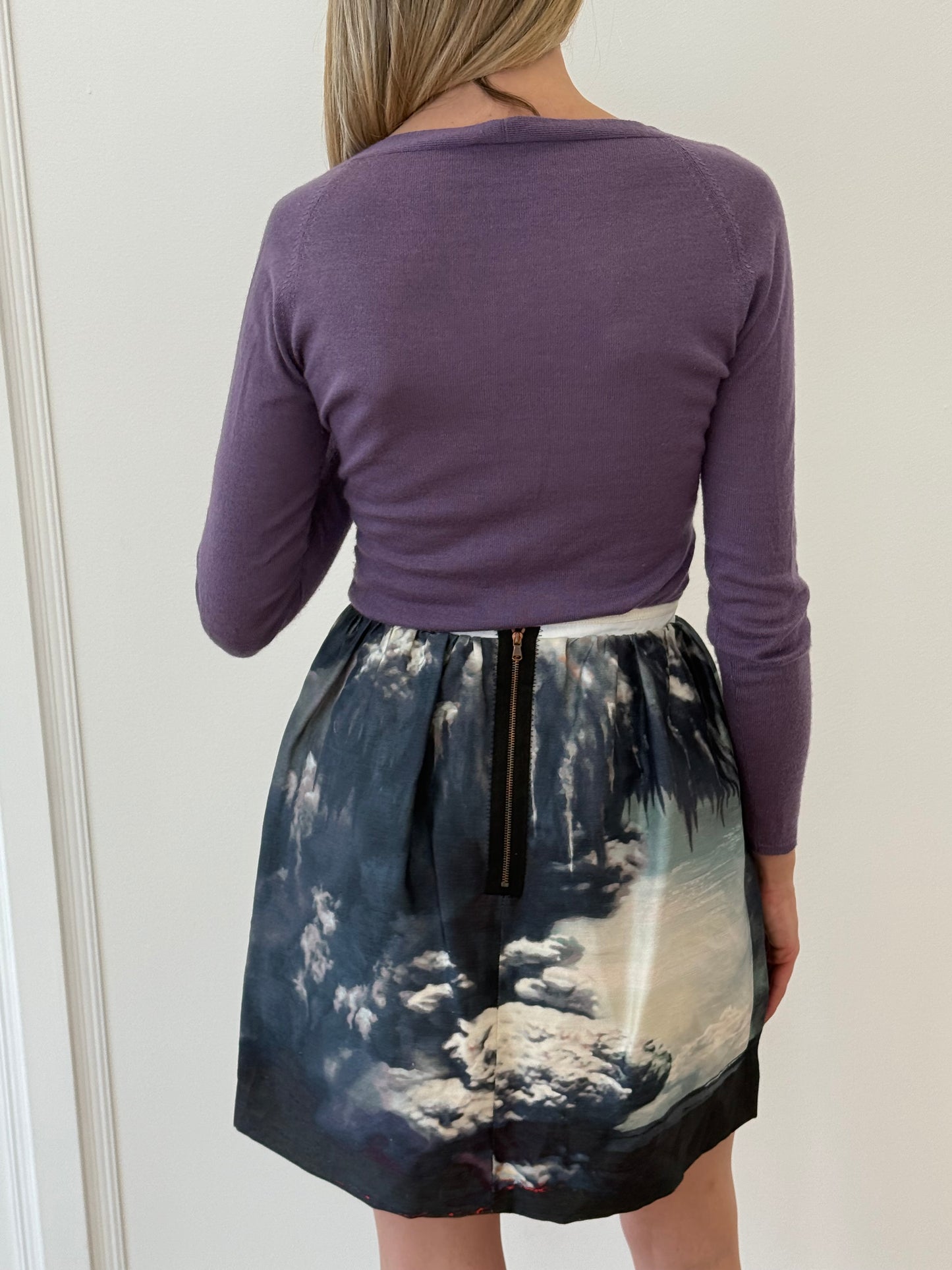 Carven Skirt - Blue/White (Size 36)