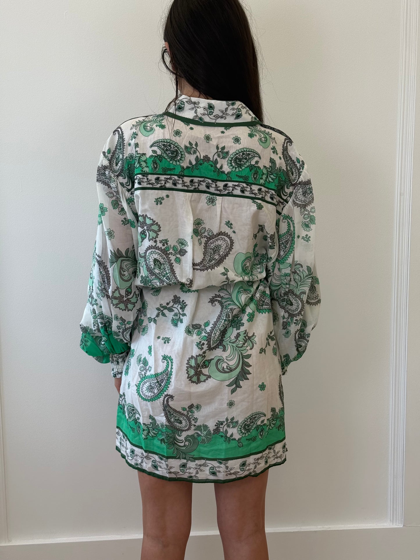Alice + Olivia Green Paisley Shirt Dress with Plaited Belt (8)