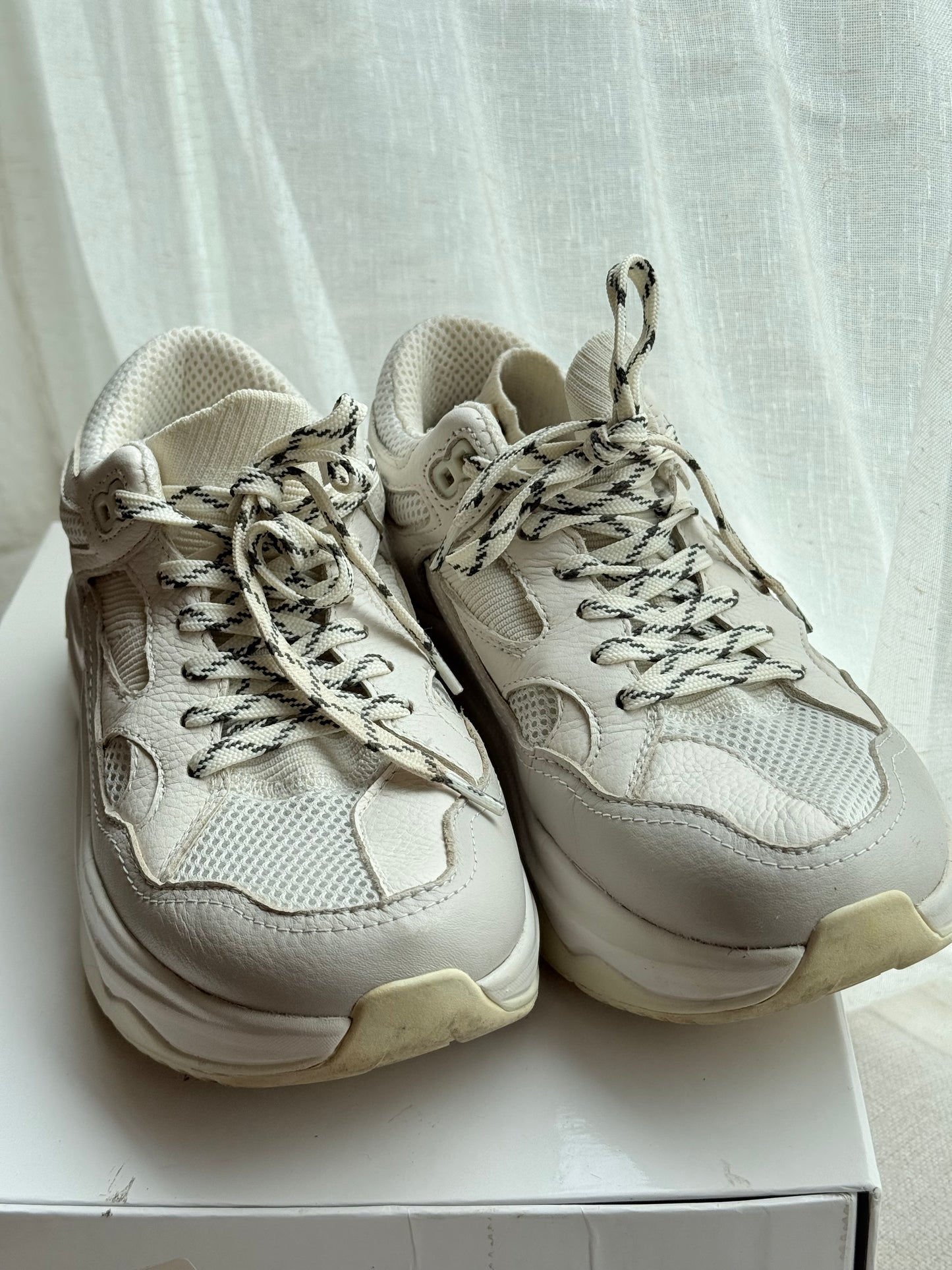 Brand Black Saga Trainers – Size 6