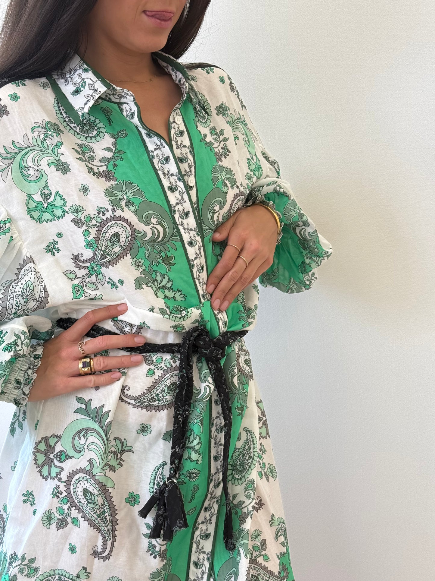 Alice + Olivia Green Paisley Shirt Dress with Plaited Belt (8)