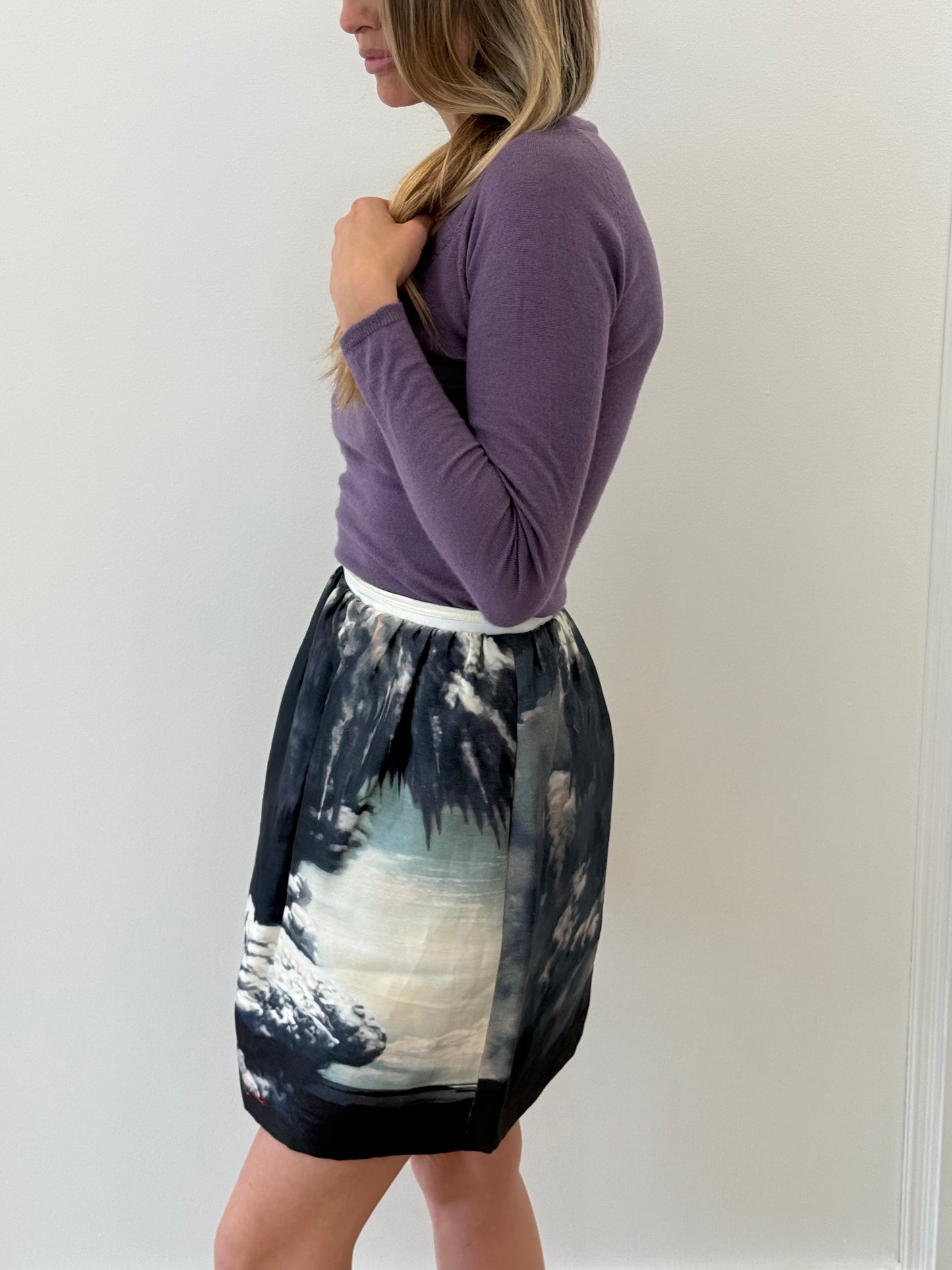 Carven Skirt - Blue/White (Size 36)