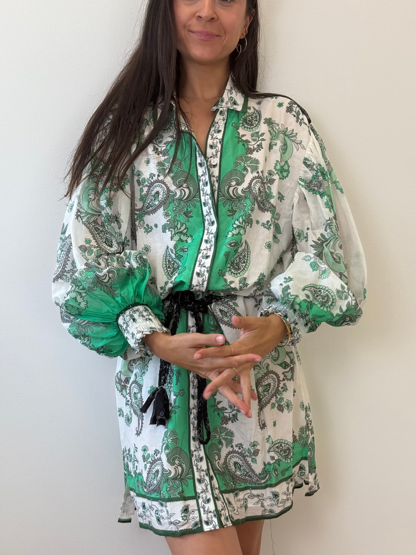 Alice + Olivia Green Paisley Shirt Dress with Plaited Belt (8)